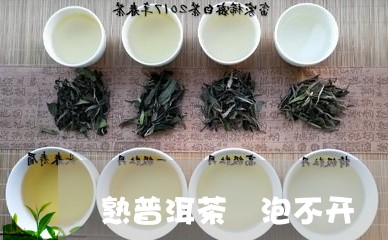 熟普洱茶 泡不开/2023041022512